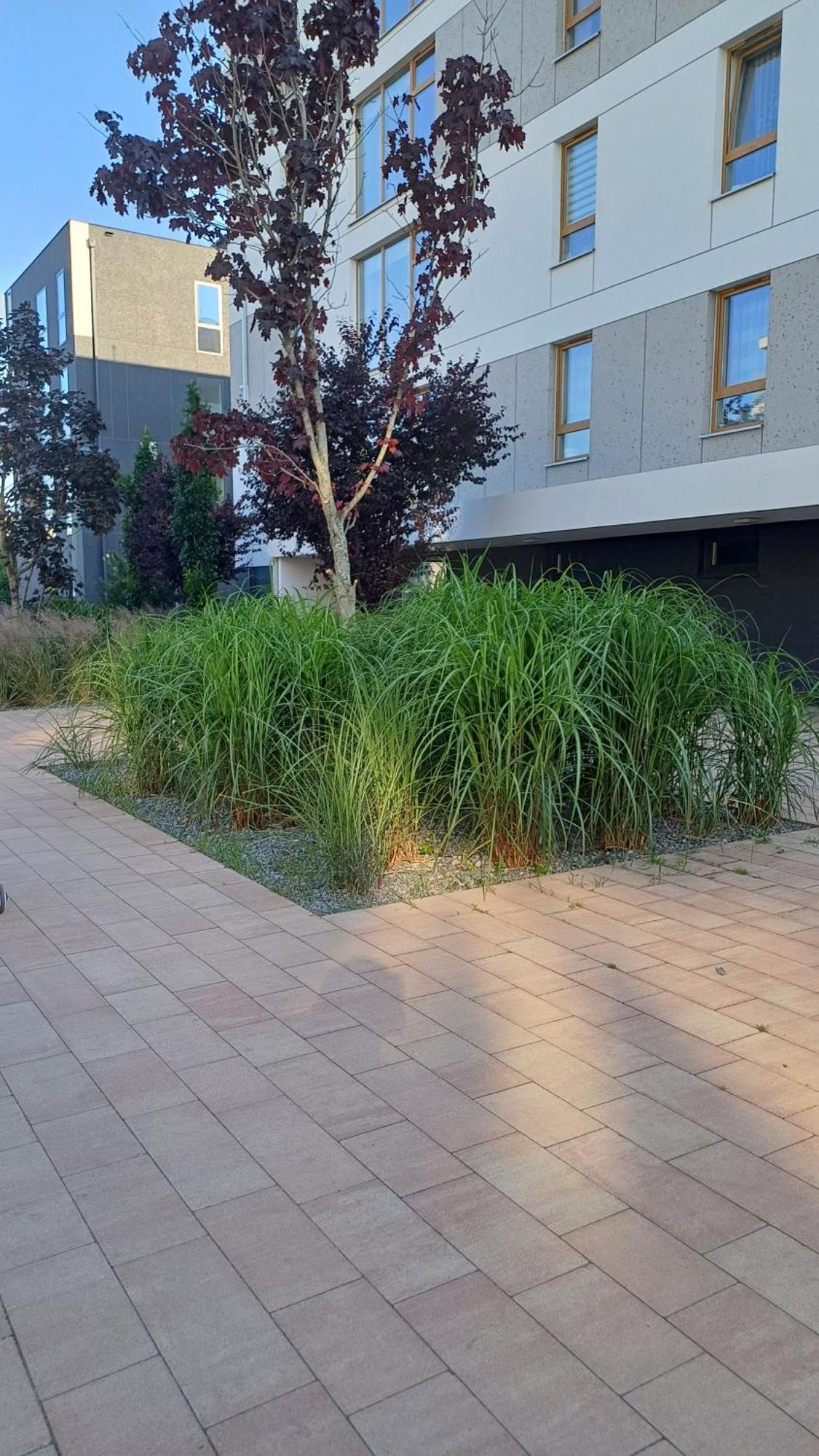 Apartament Davima Aquapark Rumia - Novum 外观 照片